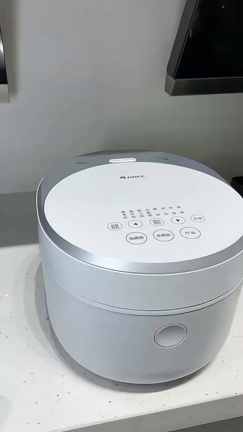 格力电饭煲 颜值与实力并存，让每一餐都轻松愉悦